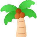 Coconut tree