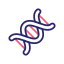 Dna structure