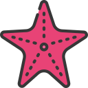 estrella de mar