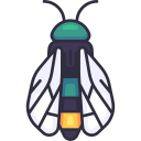 cicade