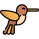 koliber