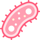 박테리아