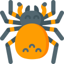 타란툴라 거미
