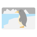 pinguino