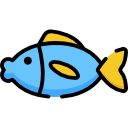 魚