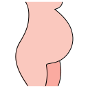 grossesse