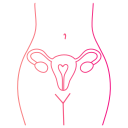 자궁