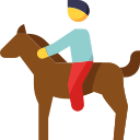 Équitation