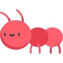 Ant