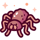 tarantula