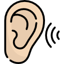 ucho