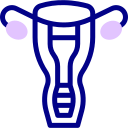 Reproductive system