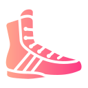 Боксерская обувь