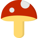 champignon