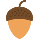 Acorn