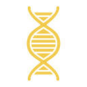 dna