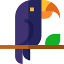 toucan