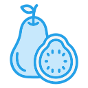 Guava
