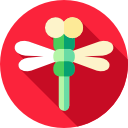 libélula