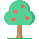 albero da frutta