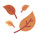 feuilles sèches