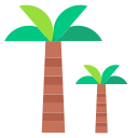 Palm tree