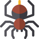araignée