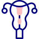生殖器系