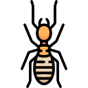 termiet