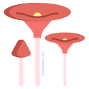 champiñón
