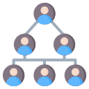 estructura de organización