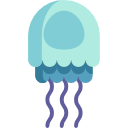 méduse