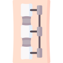 Cervical spine