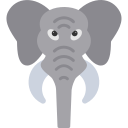 象