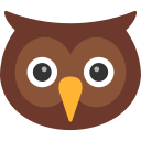 Owl icon