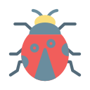 Ladybug