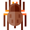 타란툴라 거미