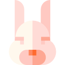 lapin