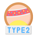 type 2