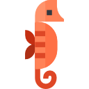 Seahorse