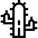 Кактус