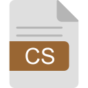 CSR file format