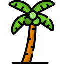 Coconut tree