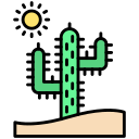 Cactus