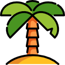 Palm