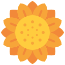 zonnebloem