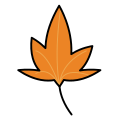 Maple leaf