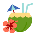 코코넛 워터