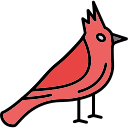 kardinal
