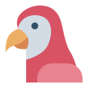 papuga